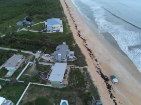 Tipsy Turtle Direct Oceanfront